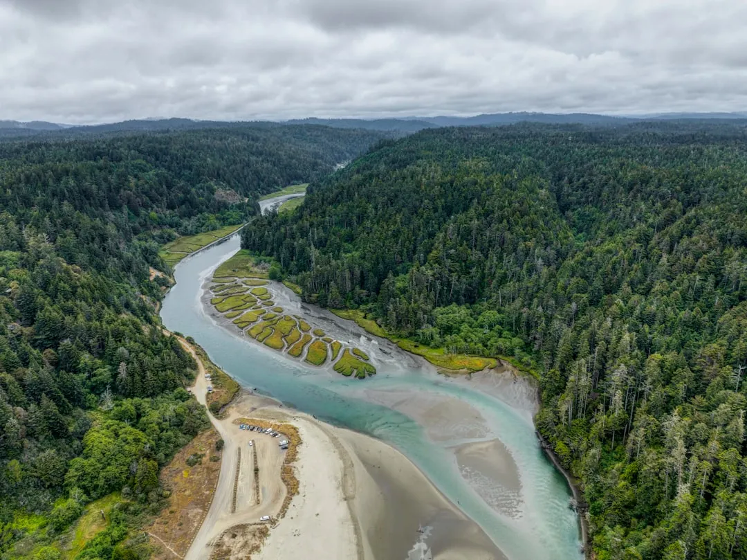 River winding through Pacific Northwest forest